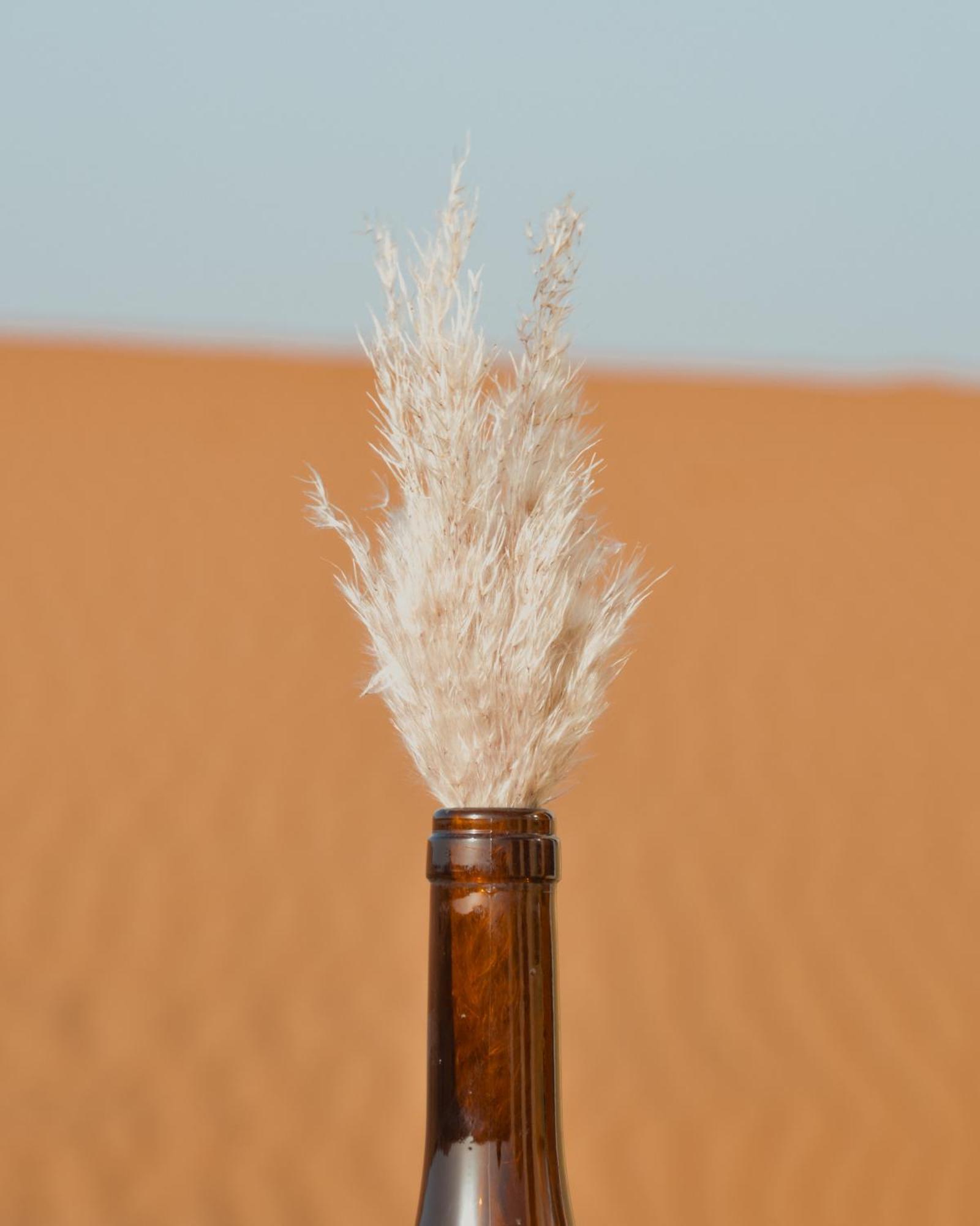 Bohem Camp Hotel Merzouga Exterior photo